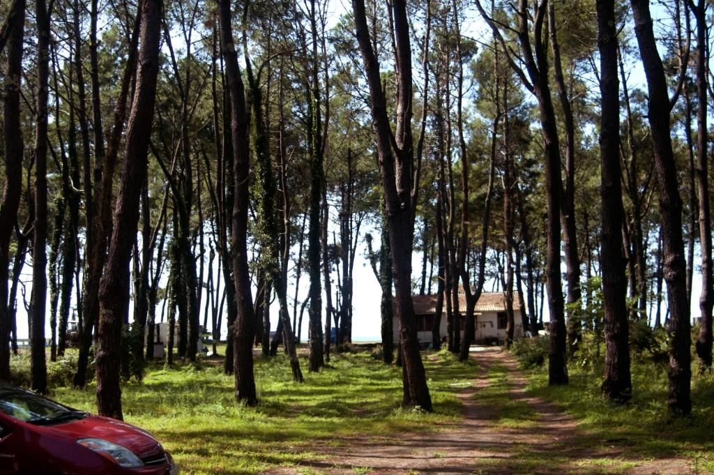 Дома для отпуска Shekvetili Beach House Шекветили