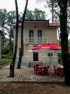 Дома для отпуска Shekvetili Beach House Шекветили-0