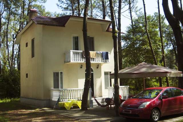 Дома для отпуска Shekvetili Beach House Шекветили-6